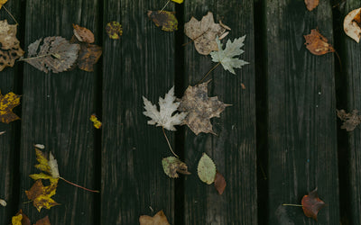 Deck care: how to treat decking to keep it looking great all year round